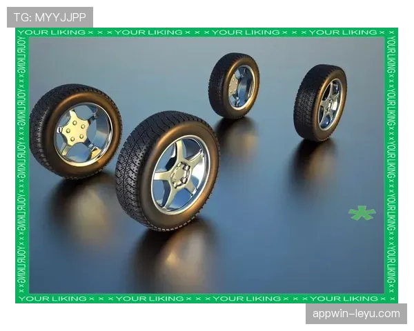 赖斯成长的关键因素解析