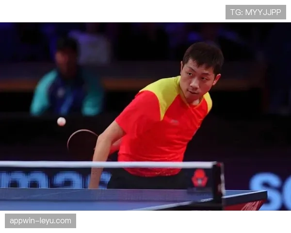 许昕比赛穿的鞋都能当限量款卖了吧，这生活节奏也太炫了点！